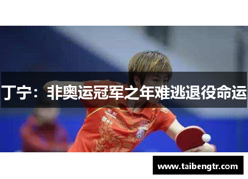丁宁：非奥运冠军之年难逃退役命运